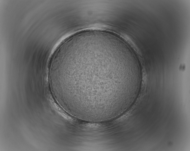 X0000115341232200911161824
