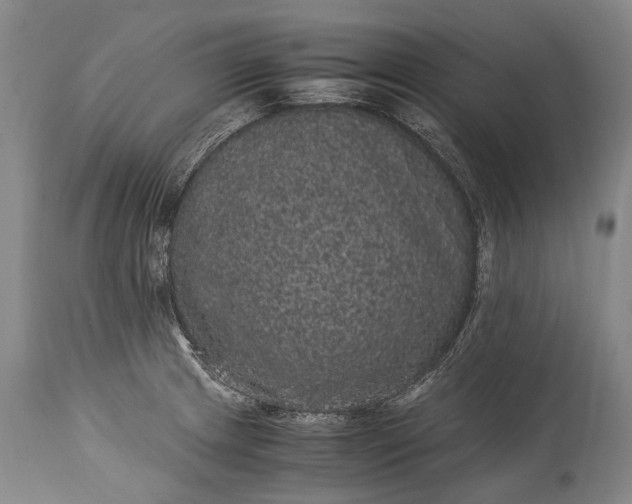 X0000115341233200911161824
