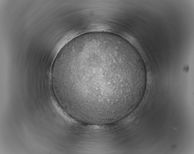 X0000115341234200911161824