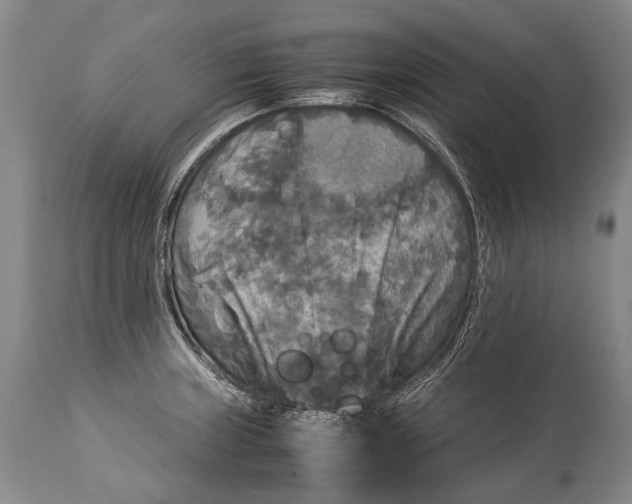 X0000115341235200911161824