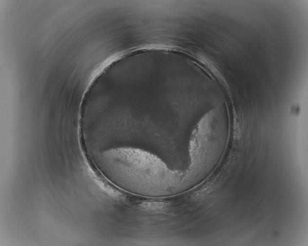 X0000115341237200911161824