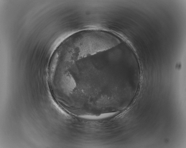 X0000115341239200911161824