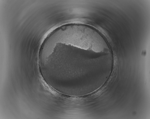 X0000115341240200911161824