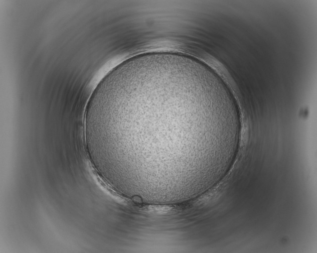 X0000115341242200911161824