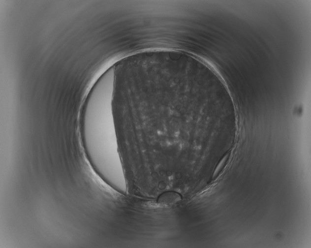 X0000115341243200911161824