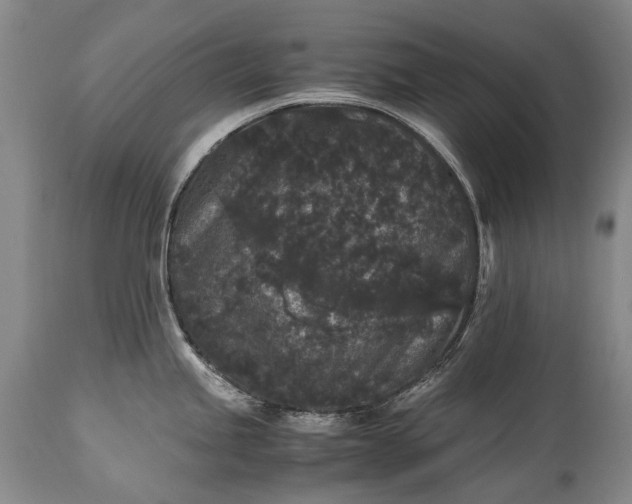 X0000115341245200911161824