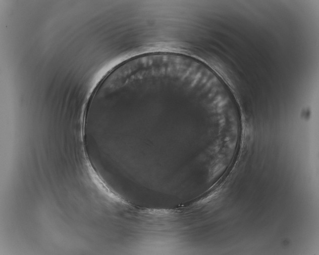 X0000115341246200911161824