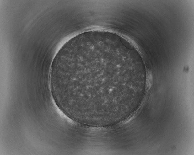 X0000115341247200911161824
