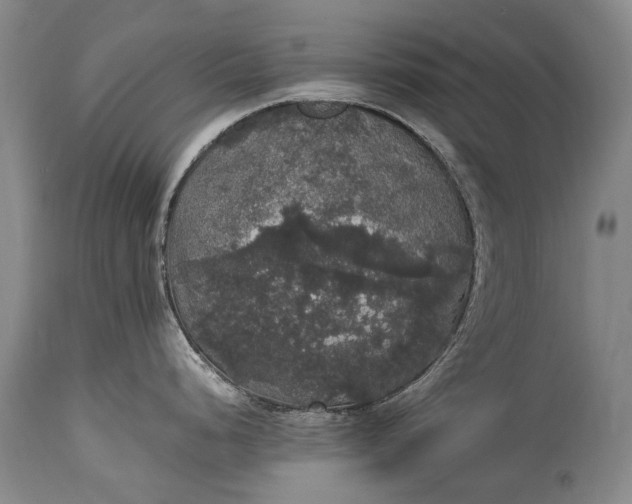 X0000115341248200911161824