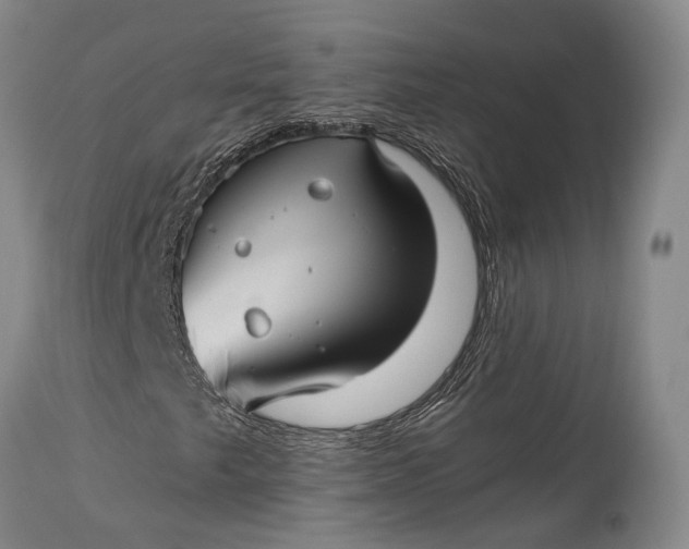 X0000115341249200911161824