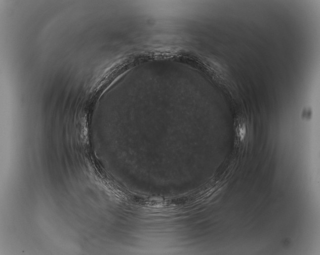X0000115341252200911161824