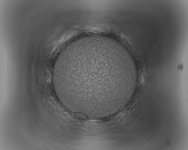 X0000115341253200911161824