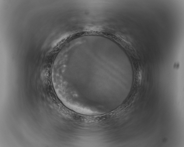 X0000115341254200911161824