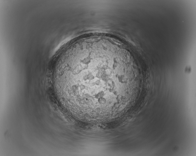 X0000115341255200911161824