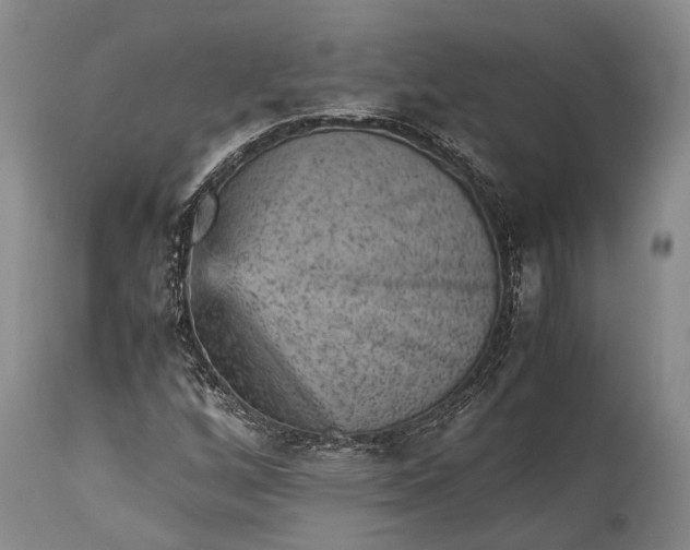 X0000115341256200911161824