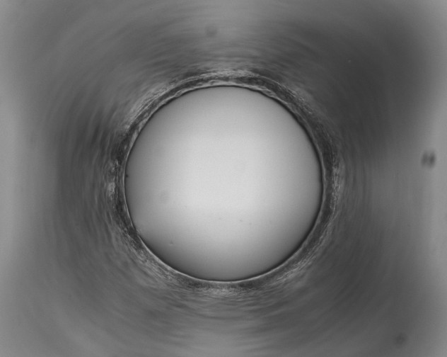 X0000115341257200911161824