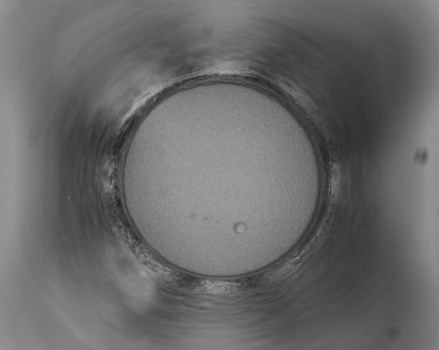 X0000115341258200911161824