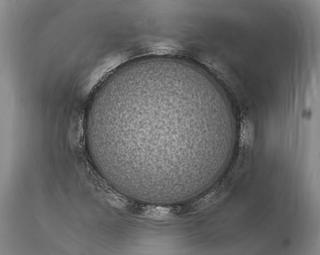 X0000115341261200911161824