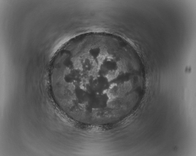 X0000115341263200911161824