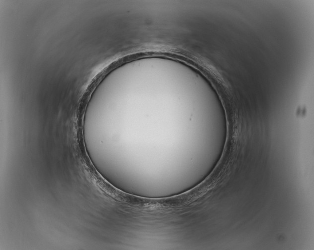 X0000115341264200911161824