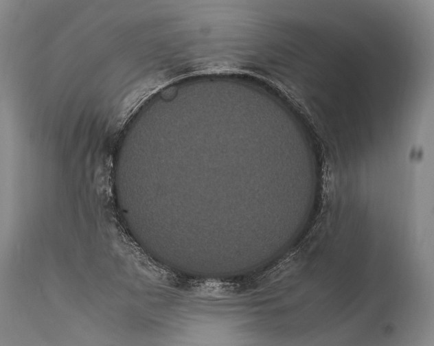 X0000115341265200911161824