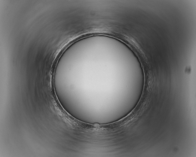 X0000115341268200911161824