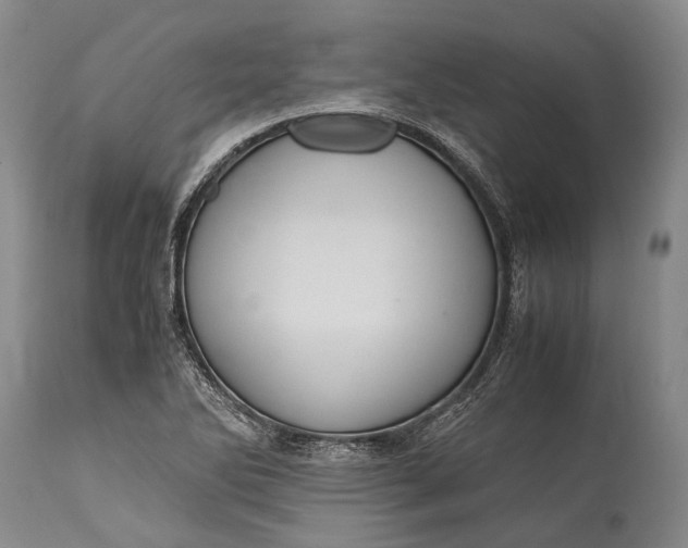 X0000115341270200911161824
