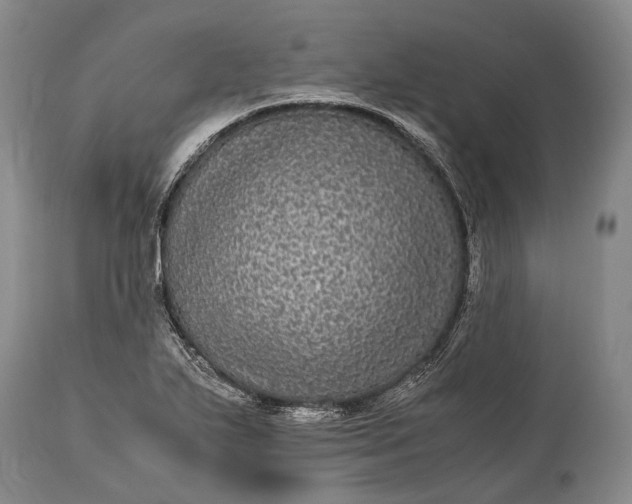 X0000115341271200911161824