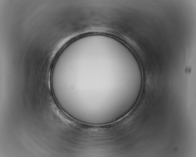 X0000115341272200911161823