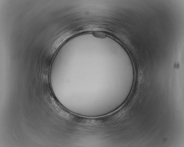 X0000115341273200911161823