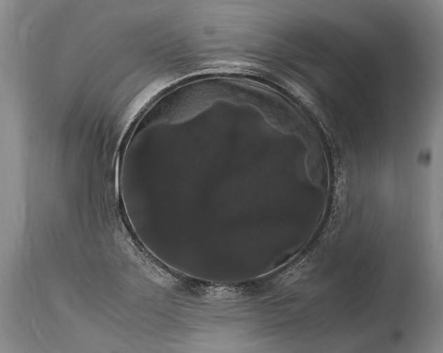 X0000115341275200911161823