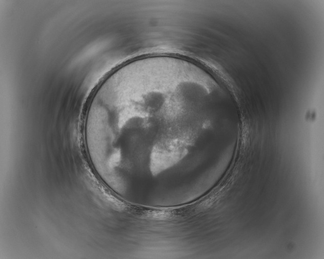 X0000115341278200911161823