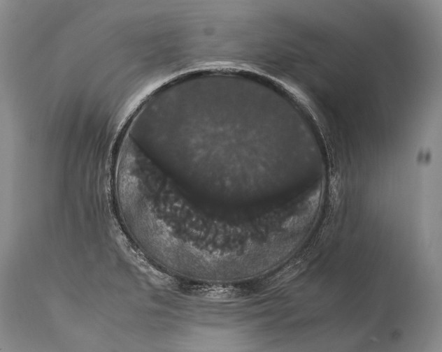 X0000115341279200911161823