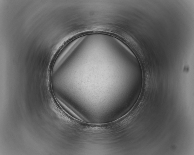 X0000115341280200911161823