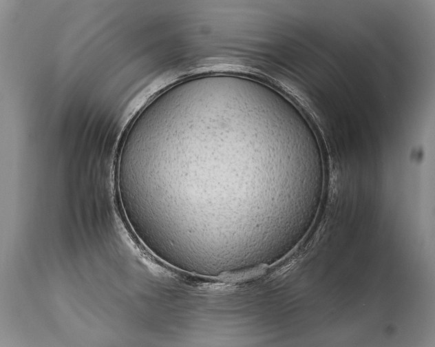 X0000115341282200911161823
