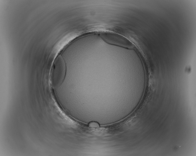 X0000115341285200911161823