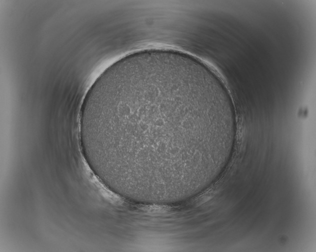 X0000115341287200911161823
