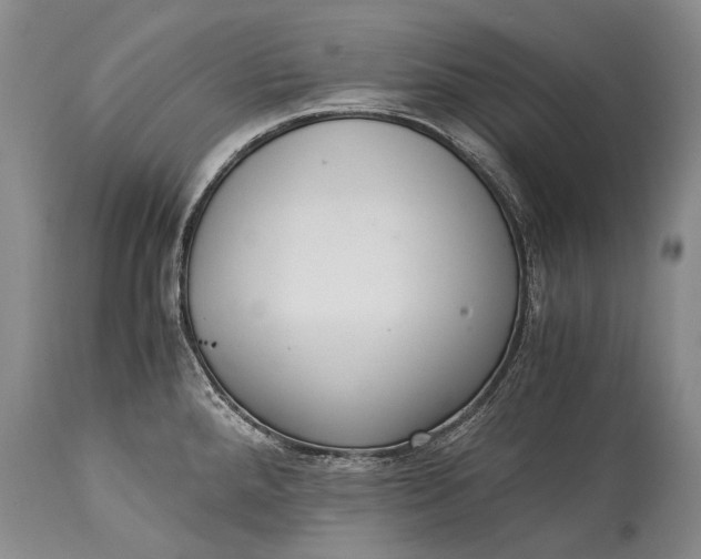 X0000115341288200911161823