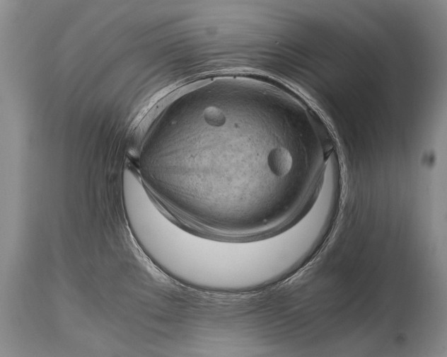 X0000115341289200911161823