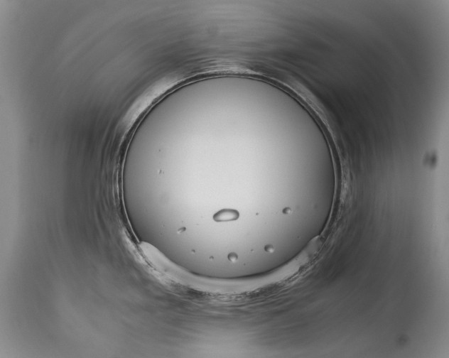 X0000115341293200911161823