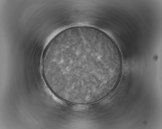 X0000115341294200911161823