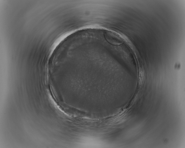 X0000115341295200911161823