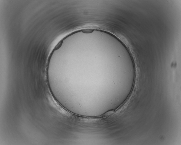 X0000115341296200911161823