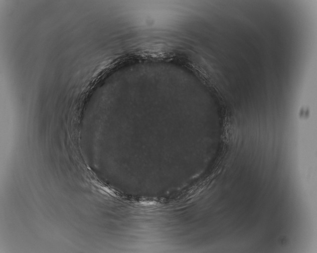 X0000115341297200911161823
