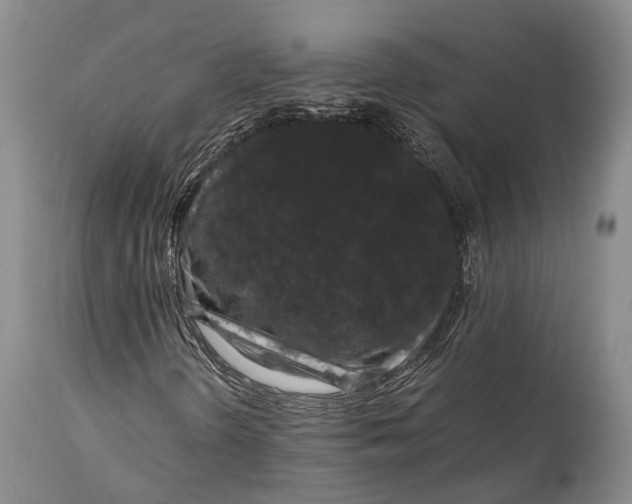 X0000115341298200911161823