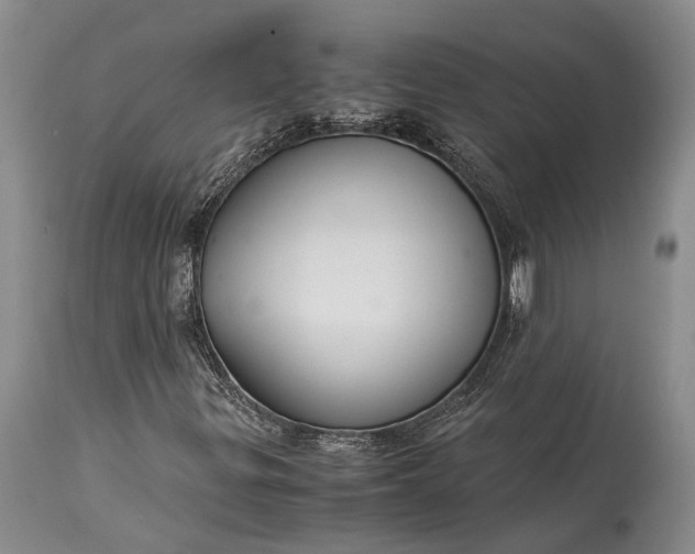 X0000115341299200911161823