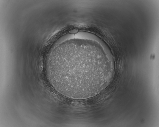 X0000115341301200911161823
