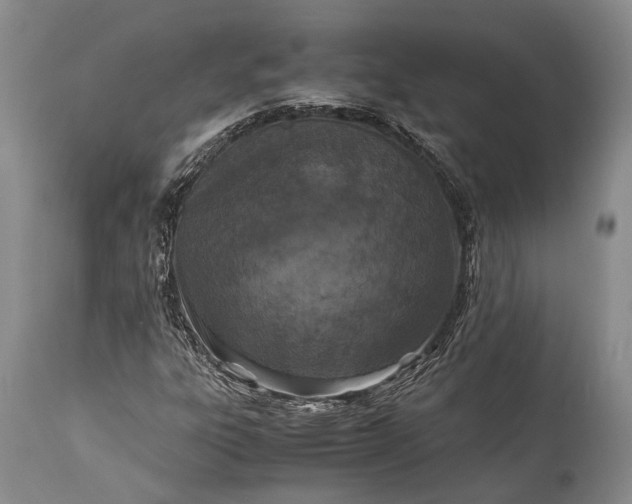 X0000115341303200911161823