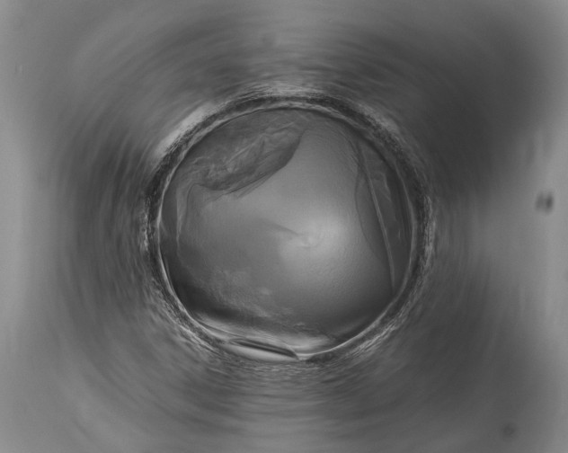 X0000115341306200911161823
