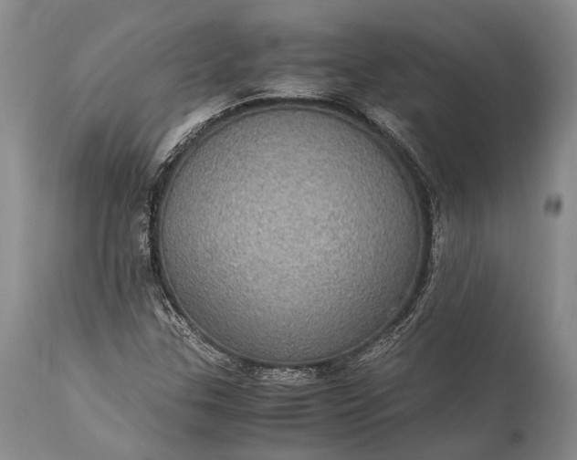 X0000115341307200911161823